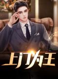 上门为婿小说全文阅读叶辰