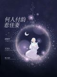 小说何人付韵惹娇妻