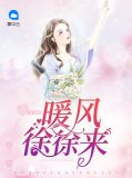 暖风吹来小说