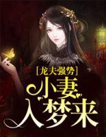 龙夫强势:小妻入梦来