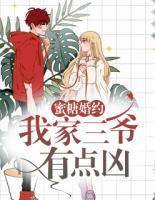 蜜糖婚约:我家三爷有点凶
