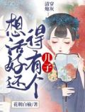 清穿炮灰:想活好还得有个儿子