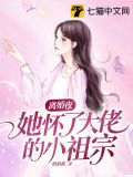 离婚夜,她怀了大佬的小祖宗